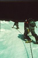 Bild 10 (274 Bildaufrufe)