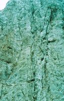 Kalbling (259 Bildaufrufe)