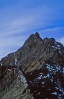 Bild 3 (324 Bildaufrufe)
