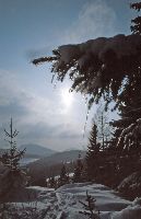 Tirolerkogel, Schwarzenberg (371 Bildaufrufe)