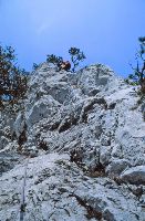 Stadelwand (316 Bildaufrufe)