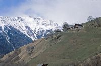 Bild 10 (294 Bildaufrufe)