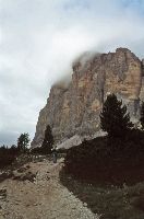 Bild 1 (342 Bildaufrufe)