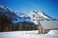 Bild 3 (273 Bildaufrufe)