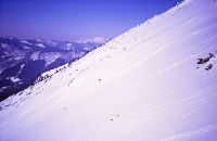 Bild 2 (271 Bildaufrufe)