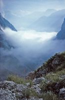 Bild 2 (230 Bildaufrufe)