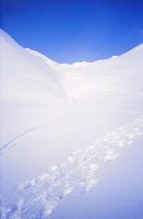 Bild 6 (234 Bildaufrufe)