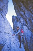 Torstein (374 Bildaufrufe)