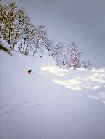 Bild 6 (283 Bildaufrufe)