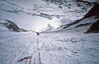 Großglockner (486 Bildaufrufe)