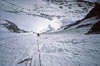 Großglockner (475 Bildaufrufe)