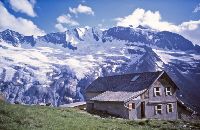 Bild 1 (288 Bildaufrufe)