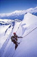 Hochfeiler (329 Bildaufrufe)