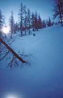 Vorderer Zellerhut, Mittl.Zellerhut, Gr.Zellerhut (304 Bildaufrufe)