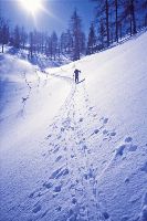 Vorderer Zellerhut, Mittl.Zellerhut, Gr.Zellerhut (277 Bildaufrufe)