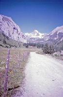 Großglockner (400 Bildaufrufe)