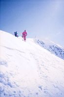 Seikogel, Fineilspitze, Hintere Schwärze, Similaun, Hauslabkogel (292 Bildaufrufe)