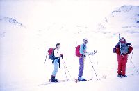 Hauslabkogel, Similaun, Hintere Schwärze, Fineilspitze, Seikogel (309 Bildaufrufe)