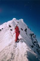 Seikogel, Fineilspitze, Hintere Schwärze, Similaun, Hauslabkogel (312 Bildaufrufe)