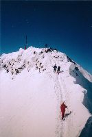 Hauslabkogel, Similaun, Hintere Schwärze, Fineilspitze, Seikogel (356 Bildaufrufe)