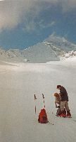 Hochalmspitze, Ankogel (208 Bildaufrufe)