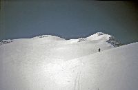Bild 2 (275 Bildaufrufe)