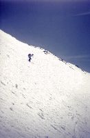 Hochalmspitze, Ankogel (260 Bildaufrufe)