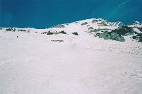 Bild 4 (190 Bildaufrufe)