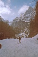 Bild 1 (291 Bildaufrufe)