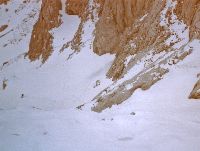 Zagelkogel, Hochwart (318 Bildaufrufe)