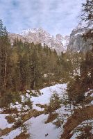Bild 9 (242 Bildaufrufe)