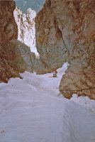 Veitsch - Hasenkogel, Veitsch - Seebodenkogel (431 Bildaufrufe)