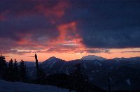 Bild 1 (167 Bildaufrufe)