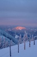 Bild 8 (172 Bildaufrufe)