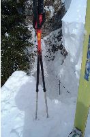 Bild 2 (210 Bildaufrufe)