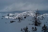 Bild 3 (266 Bildaufrufe)