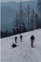 Heukuppe, Predigtstuhl (425 Bildaufrufe)