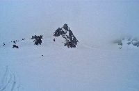 Bild 8 (224 Bildaufrufe)