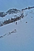 Bild 2 (175 Bildaufrufe)
