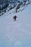 Bild 3 (242 Bildaufrufe)