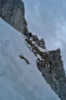 Bild 11 (199 Bildaufrufe)