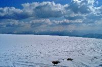 Bild 13 (367 Bildaufrufe)
