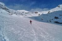 Bild 1 (243 Bildaufrufe)