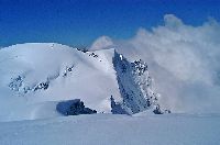 Bild 5 (486 Bildaufrufe)