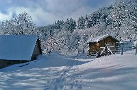 Bild 2 (268 Bildaufrufe)