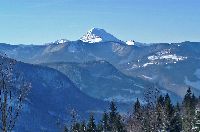 Bild 4 (286 Bildaufrufe)