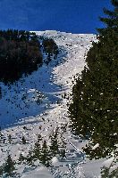 Bild 5 (260 Bildaufrufe)