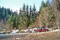 Bild 2 (236 Bildaufrufe)
