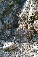 Bild 2 (233 Bildaufrufe)