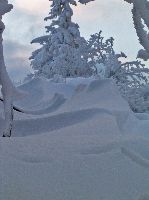 Bild 8 (209 Bildaufrufe)